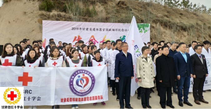 文中1.jpg