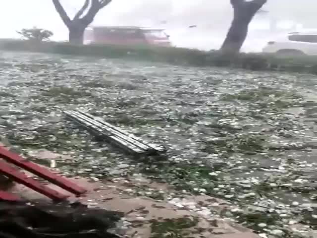 文中4.jpg