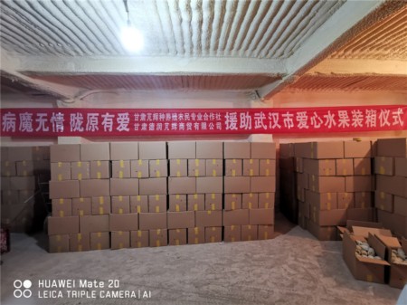 甘肃德润芃辉 (1).jpg