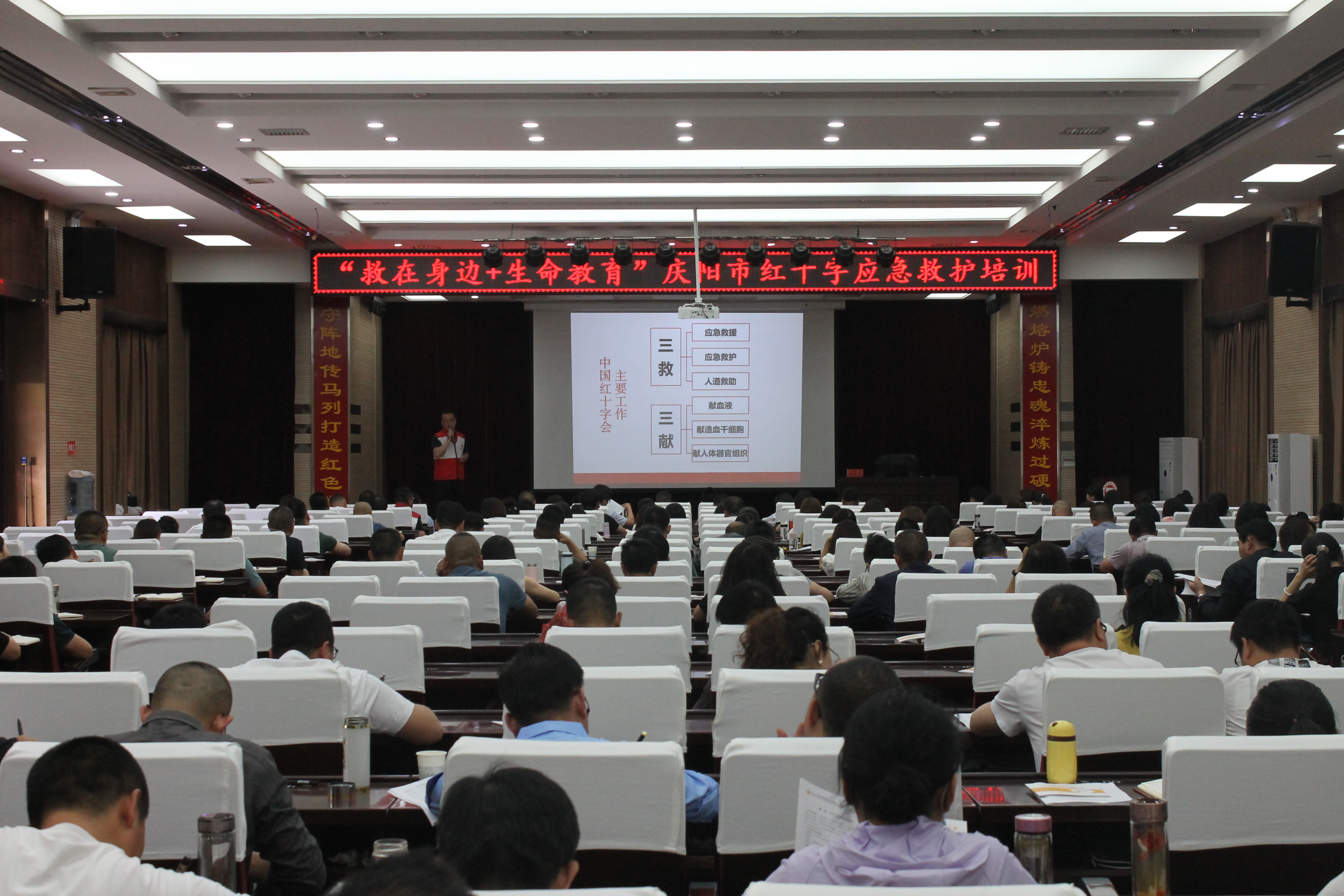 图片 (1).JPG