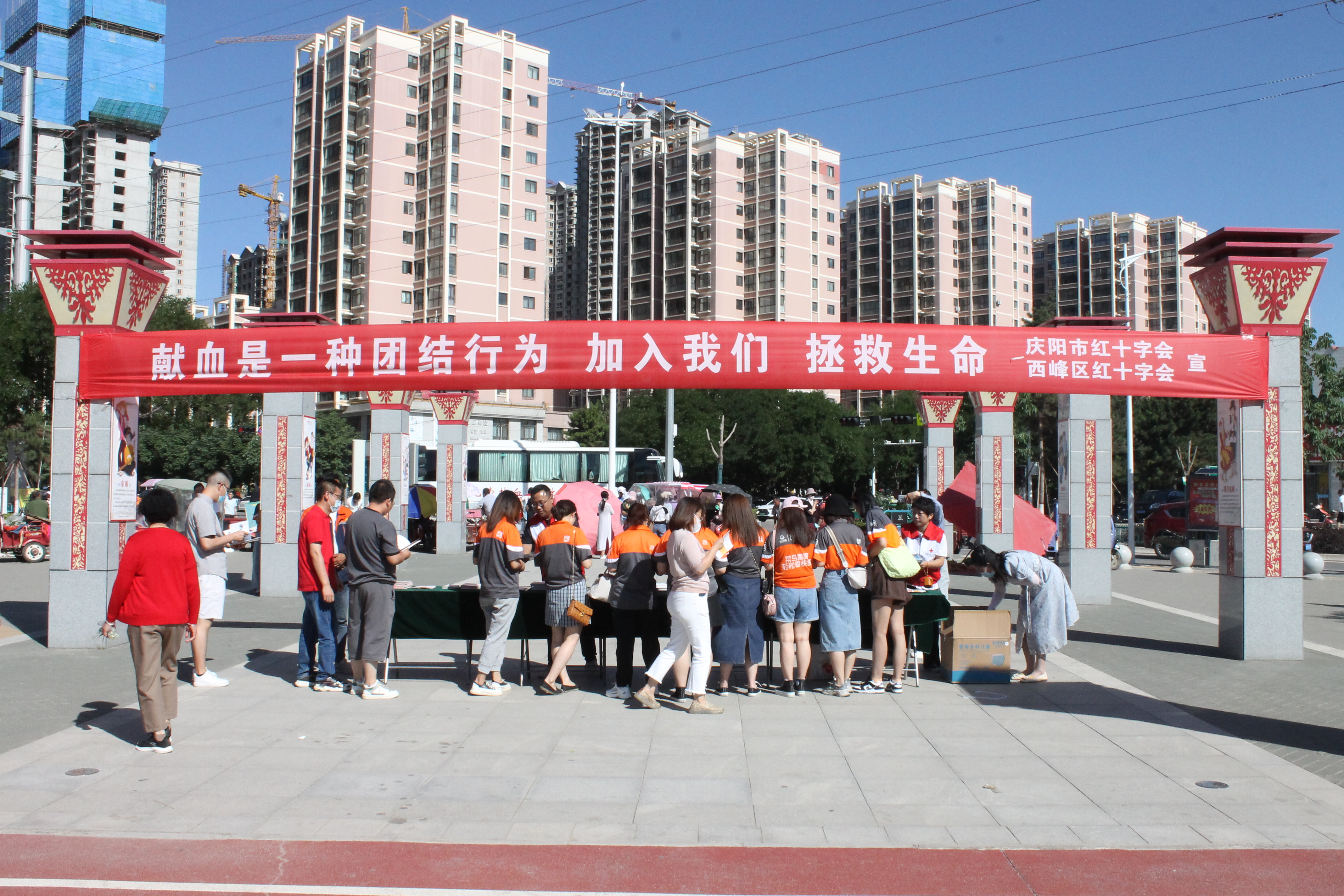图片 (1).JPG