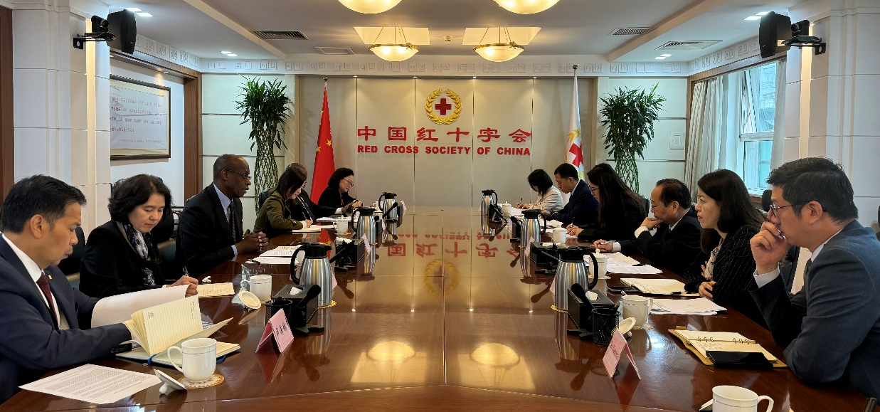 8.王平会见联合国难民署助理高级专员拉乌夫·马祖.png