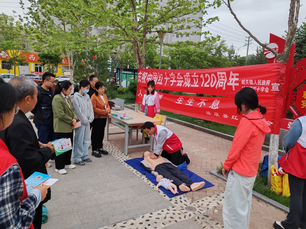 4.镇原图片2.png